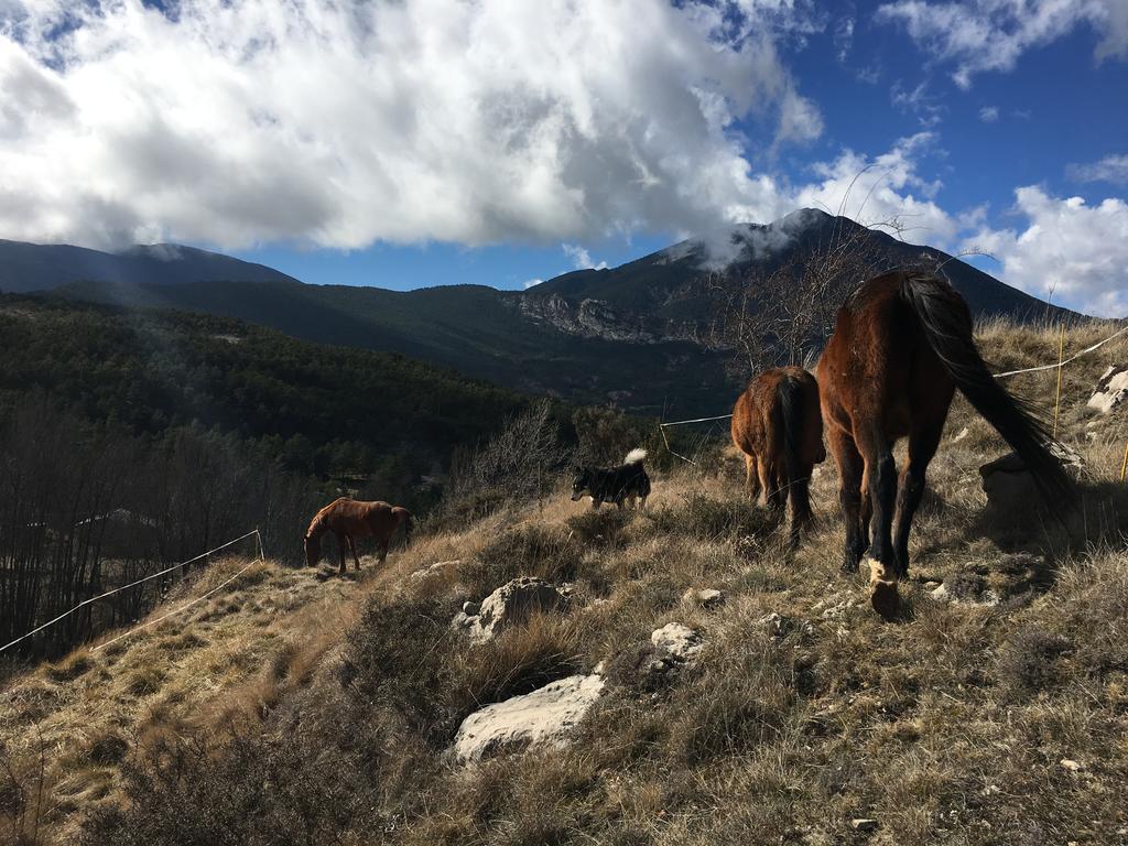 El Jou Nature Sant Corneli Eksteriør billede