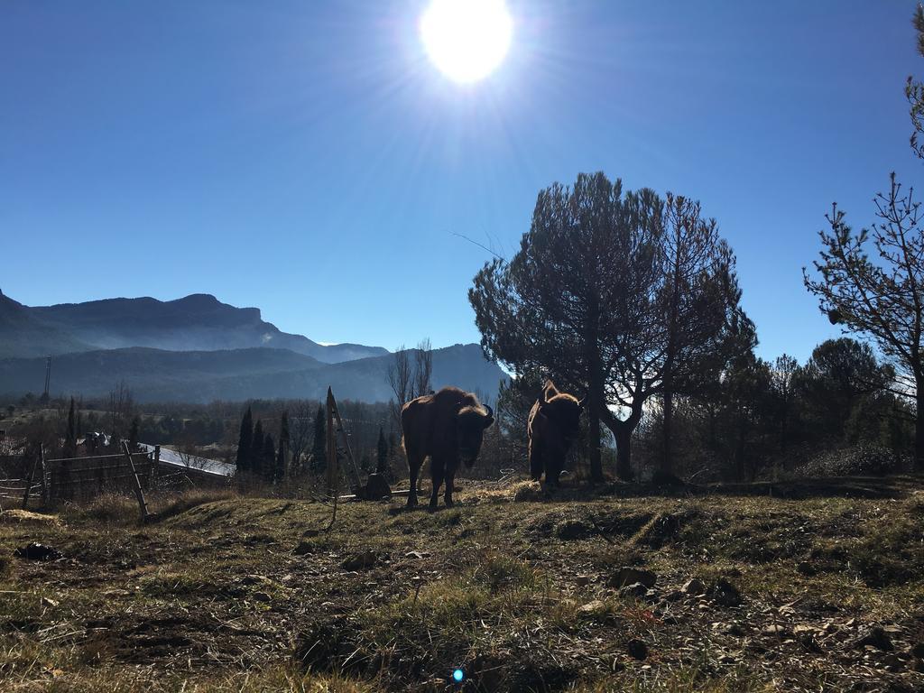 El Jou Nature Sant Corneli Eksteriør billede