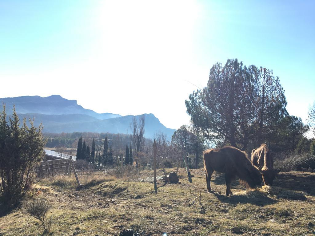 El Jou Nature Sant Corneli Eksteriør billede